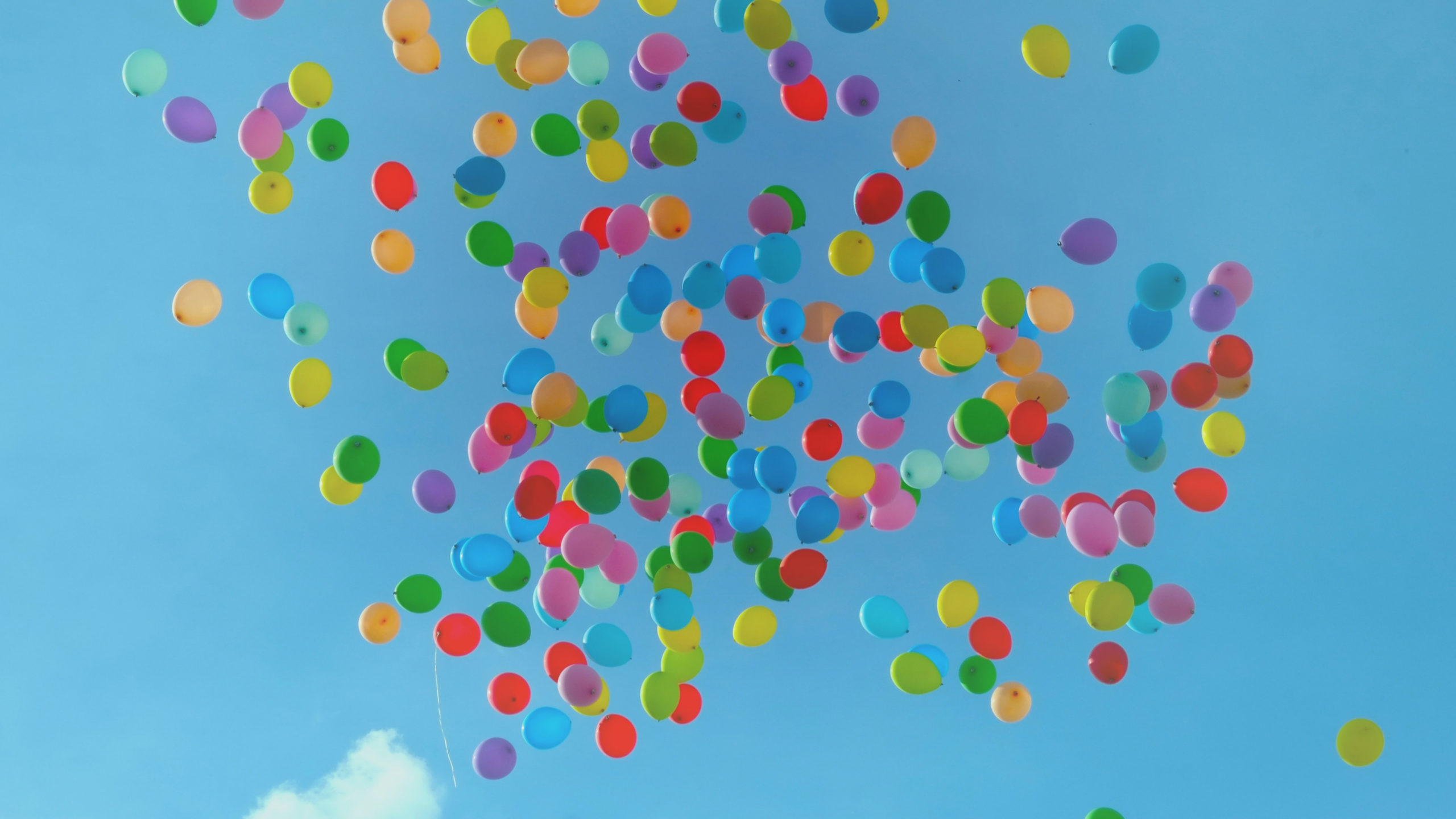 Header Loupy