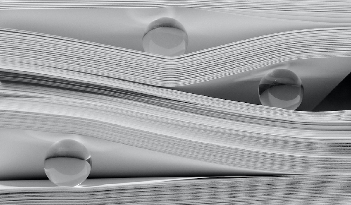 Beyond Google: The future of search marketing