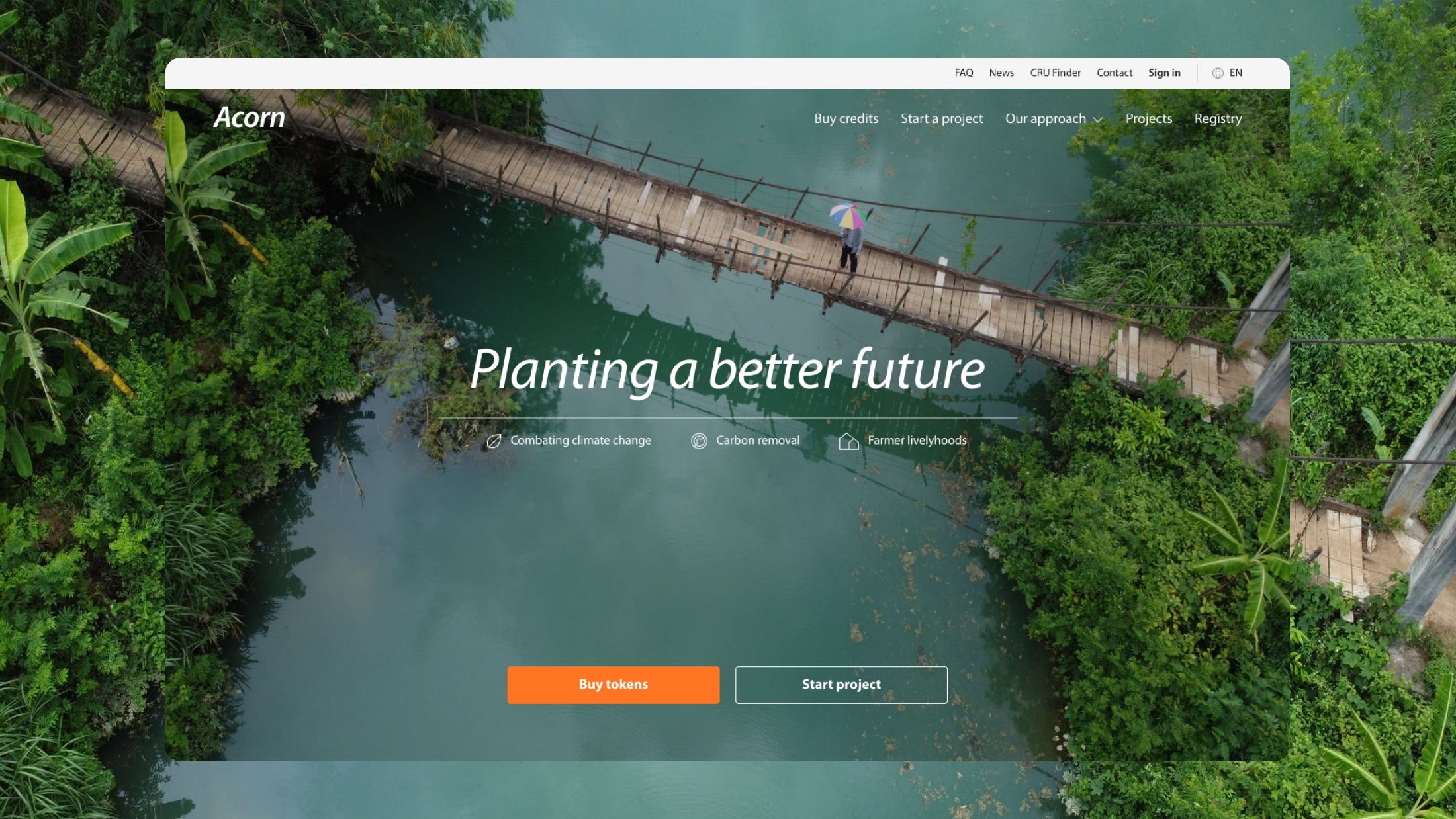 Acorn by Rabobank - website work