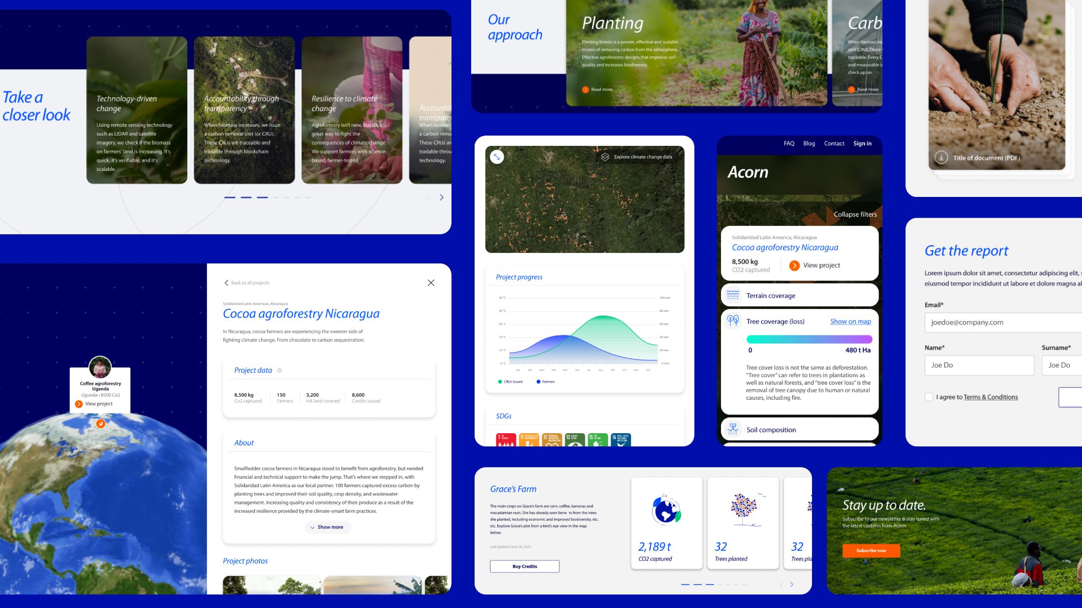 Acorn by Rabobank - website work