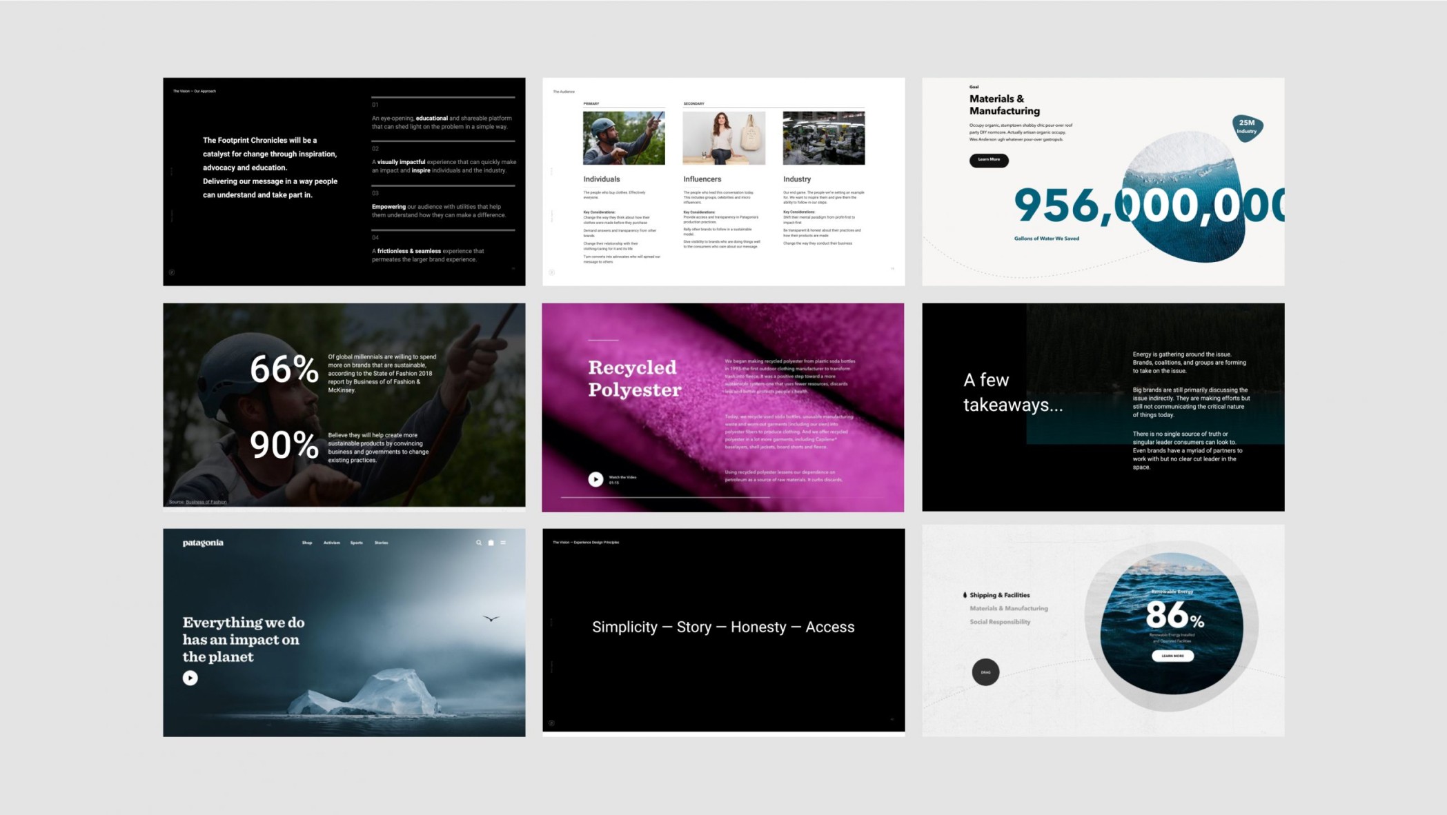 Patagonia's website showcasing various stats and takeaways