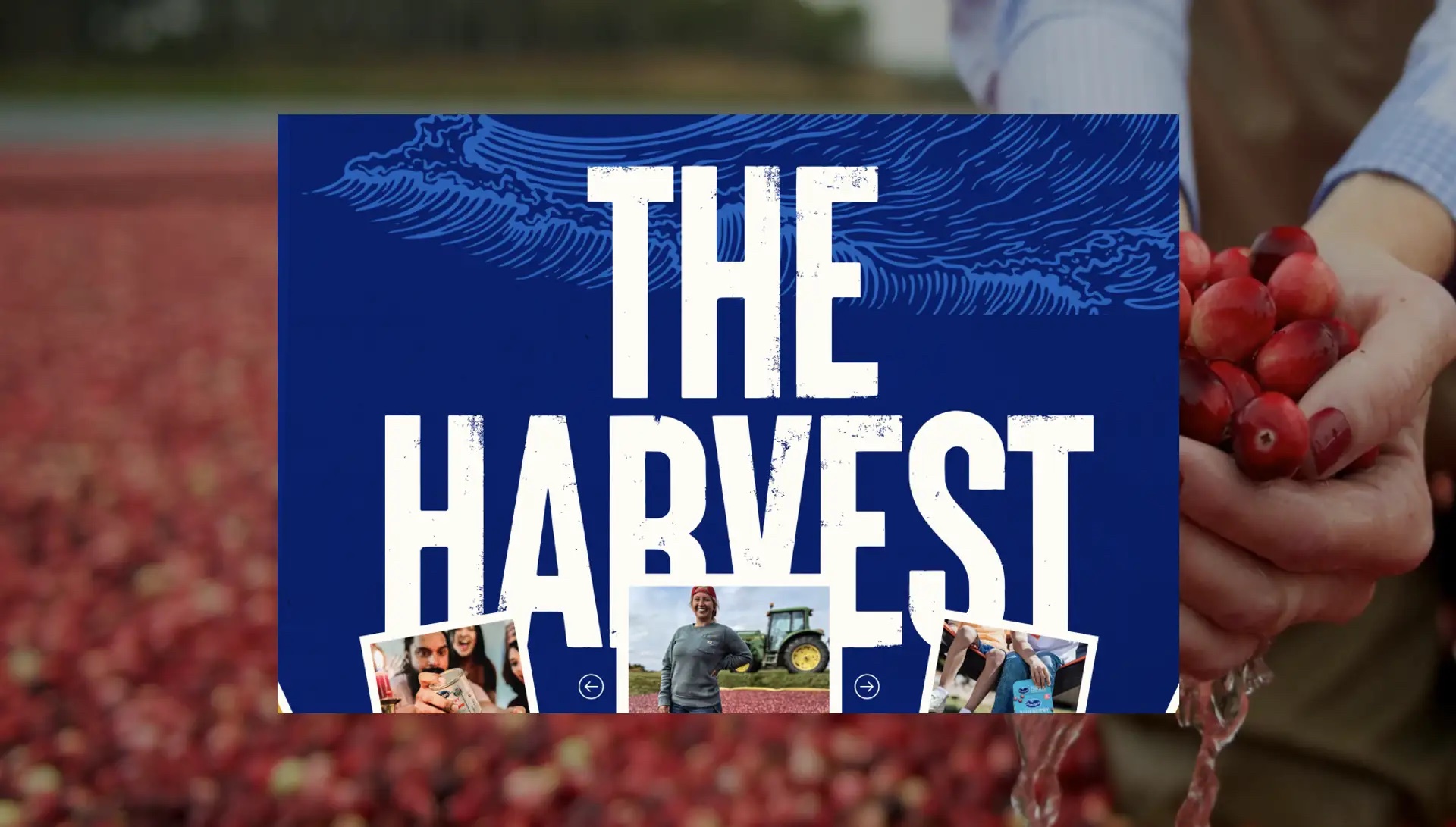 Ocean Spray's farmer-friendly website.