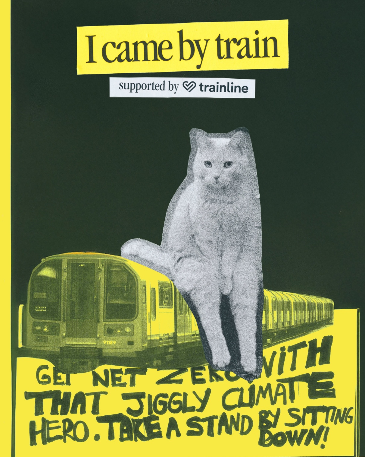 A cat sitting on a train