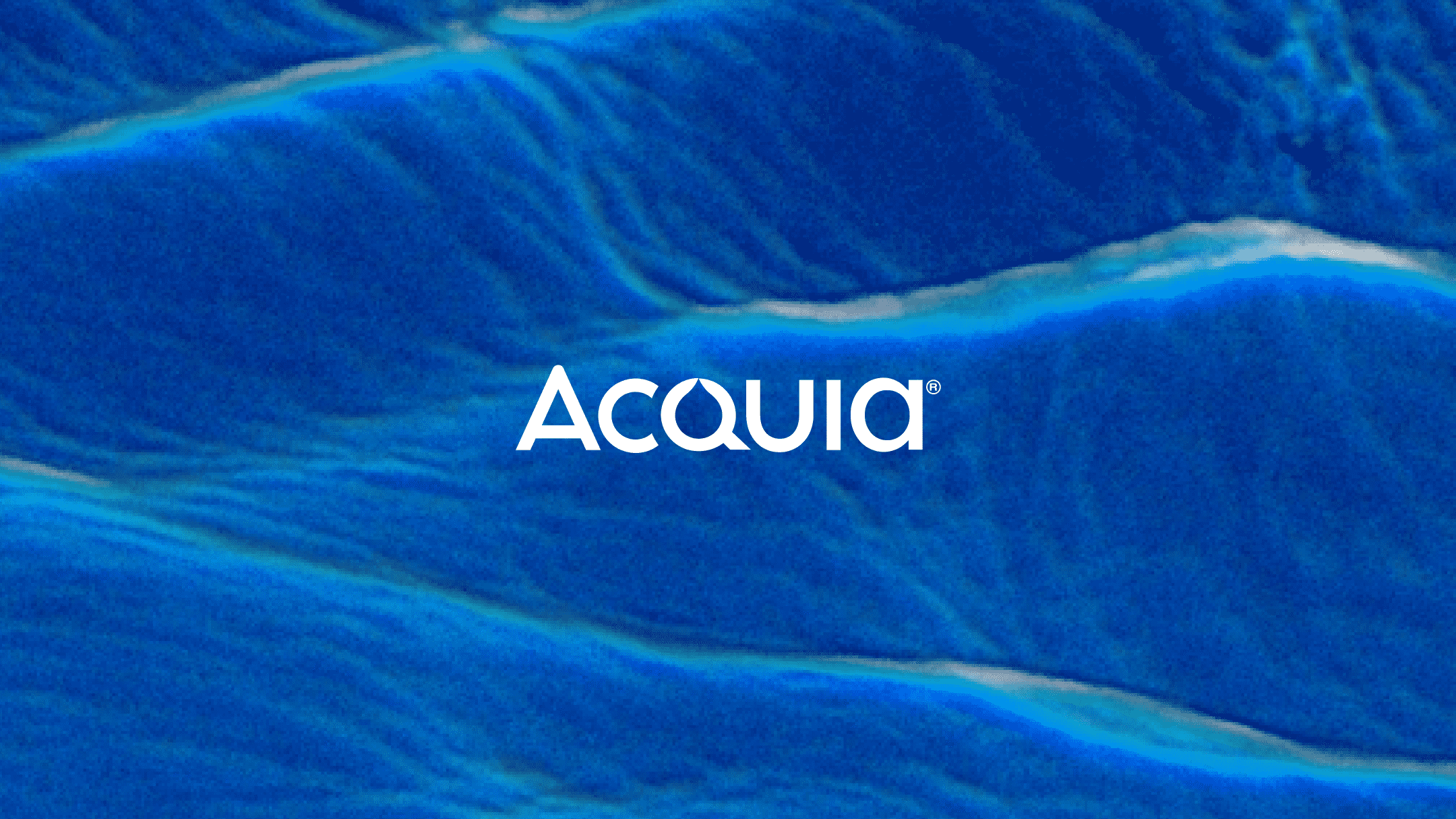 White Acquia logo on a blue background.