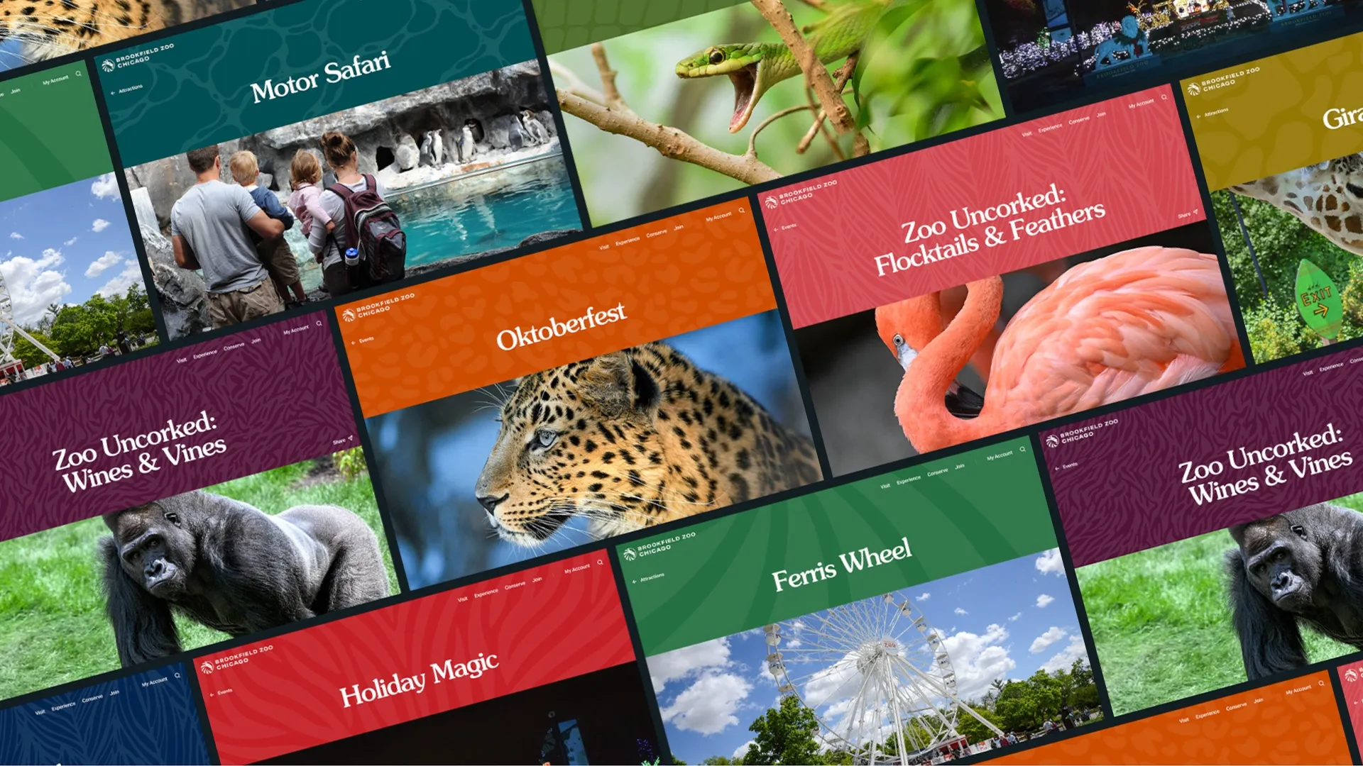 Brookfield Zoo Chicago and DEPT® reimagine the digital experience to bring visitors closer to the animals, mission, and impact.